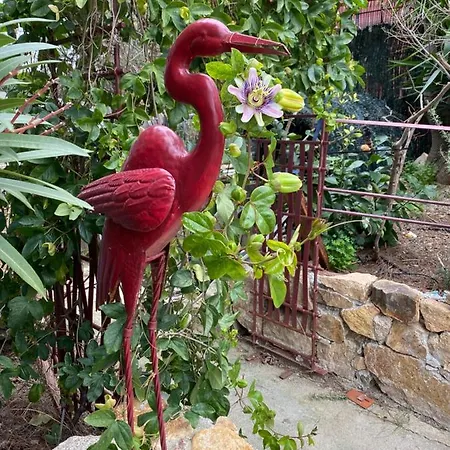 Casa Di Floumy 4* Calvi (Corsica)