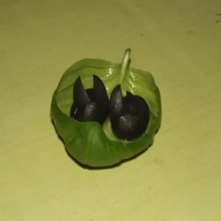 Nocleg ze śniadaniem Casa Di Floumy Calvi (Corsica)