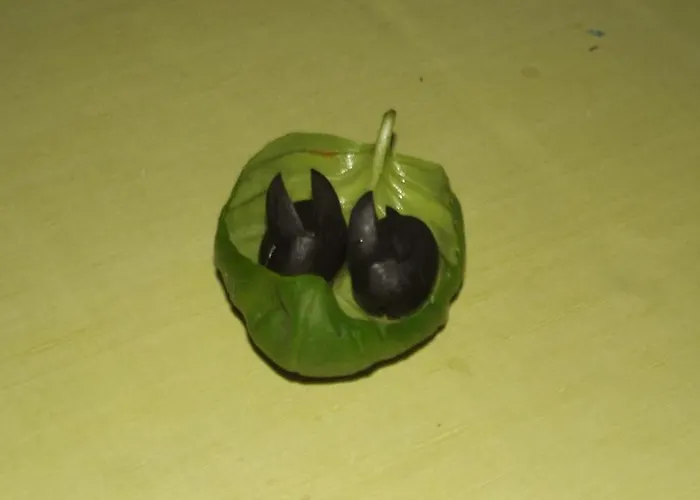 Bed & Breakfast Casa Di Floumy Calvi (Corsica)