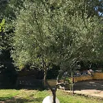 Bed & Breakfast Casa Di Floumy 3*