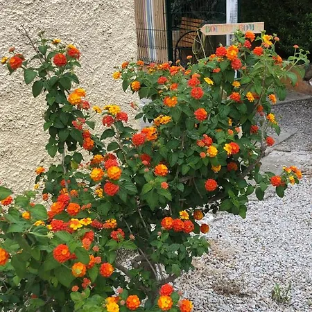 Bed & Breakfast Casa Di Floumy