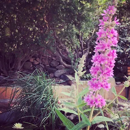 Casa Di Floumy Bed & Breakfast