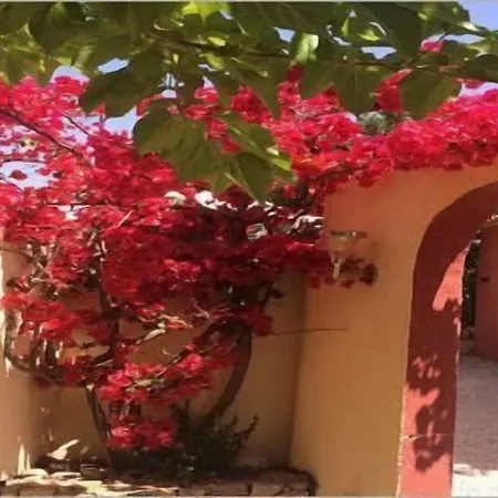 Bed & Breakfast Casa Di Floumy 4*