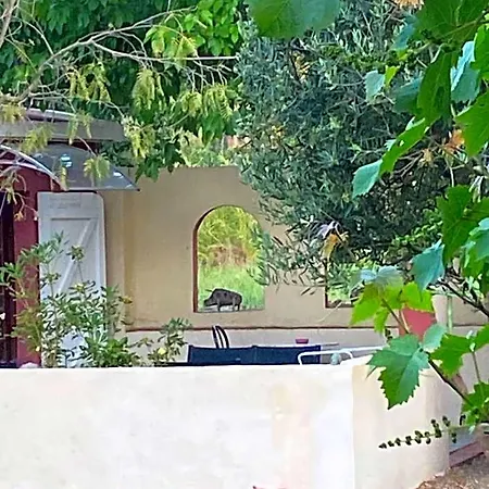 Casa Di Floumy Bed & Breakfast Calvi (Corsica)