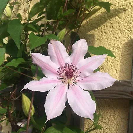 Casa Di Floumy 2*