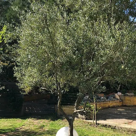 Bed & Breakfast Casa Di Floumy 2*