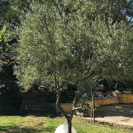 Bed & Breakfast Casa Di Floumy 3*