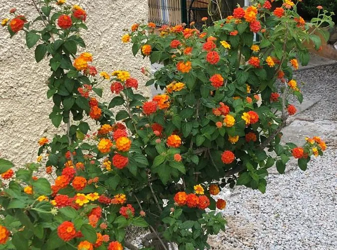 Bed & Breakfast Casa Di Floumy