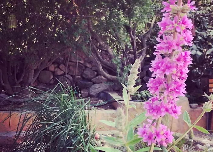 Casa Di Floumy Bed & Breakfast