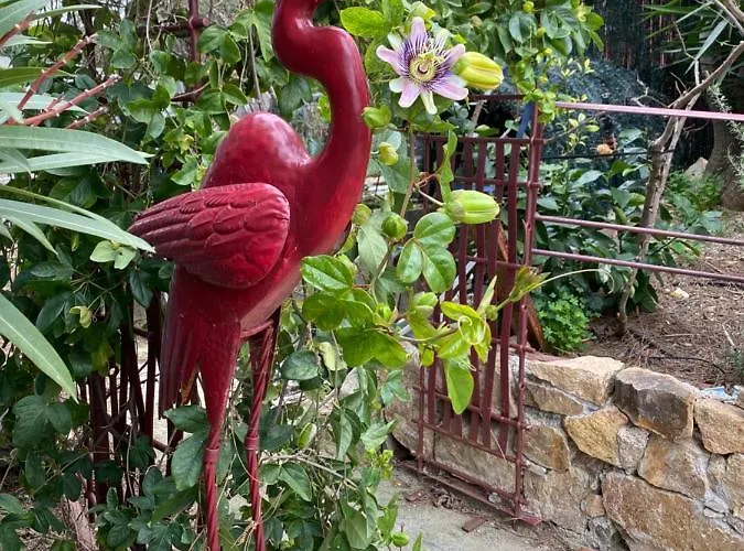 Casa Di Floumy 3* Кальви