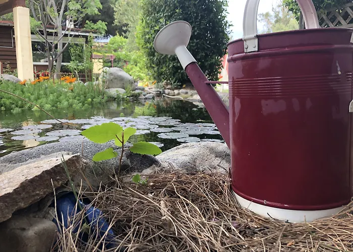 Casa Di Floumy Calvi (Corsica)