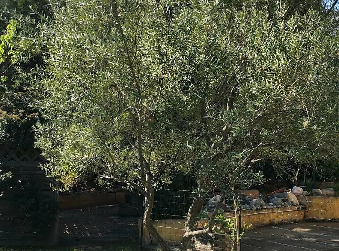 Alojamento de Acomodação e Pequeno-almoço Casa Di Floumy 3*